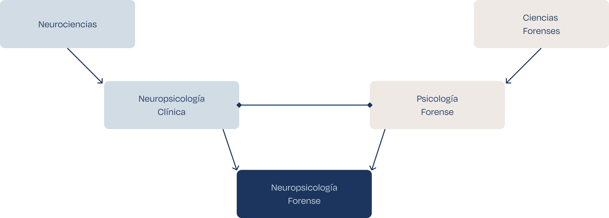 ¿Qué es la Neuropsicología Forense