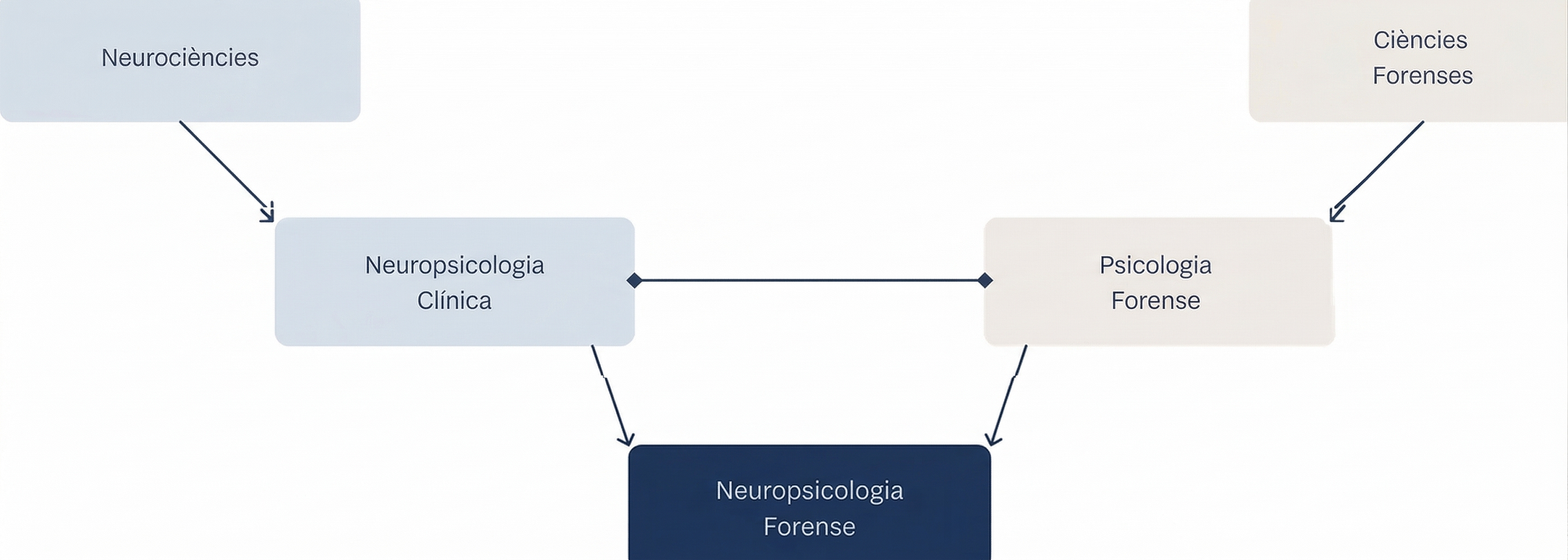 Què és la Neuropsicologia Forense